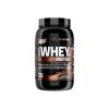 100% WHEY PROTEIN